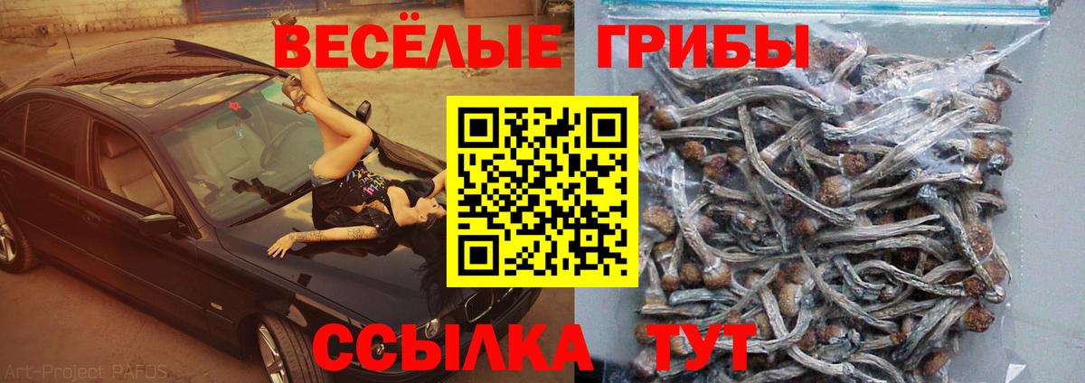 Галлюциногенные грибы прущие грибы Кубинка