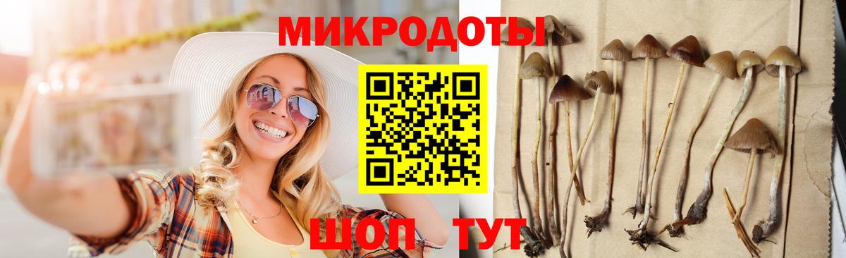 Галлюциногенные грибы прущие грибы  Вход с VPN  Псилоцибиновые грибы Psilocybe  Кубинка 